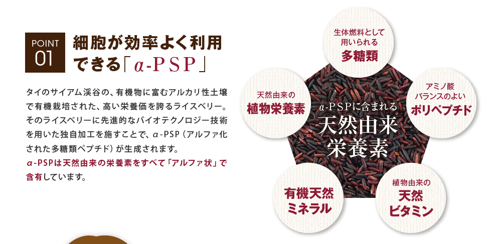 POINT1 細胞が効率よく利用できる「α-ＰＳＰ」