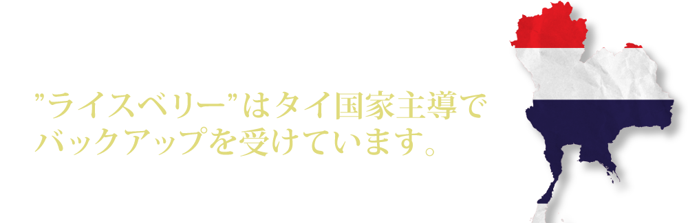 “ライスベリー”はタイ国家主導でバックアップを受けています。