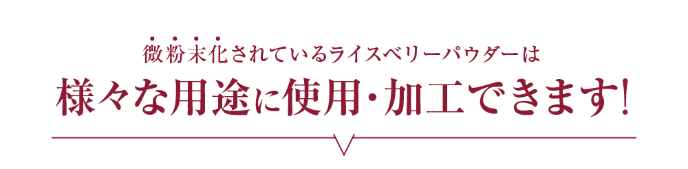 微粉末化されているライスベリーパウダーは様々な用途に使用・加工できます!